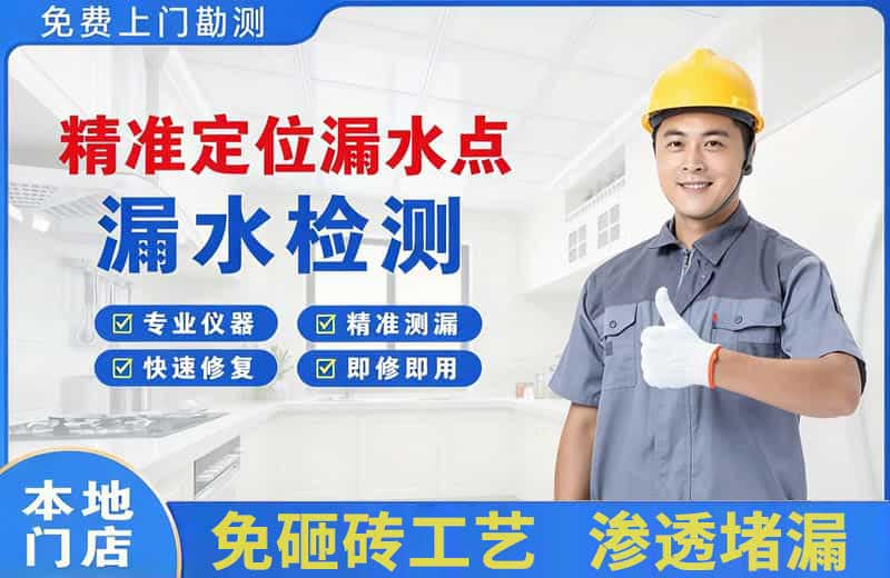 雁山精准测漏点